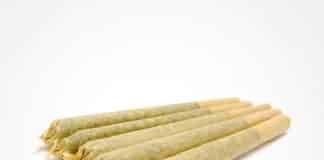 Your Ultimate Destination for Superior Quality Pre Rolled Joints