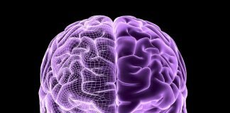 The Brain Driver: Professional tDCS Device for Optimal Performance