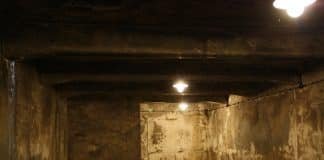 The Holocaust Witch Hunt (Part I)