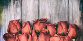 Give the Gift of a Dozen Roses this Holiday