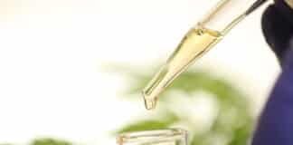 The Best PCR Hemp Products To Try This Year
