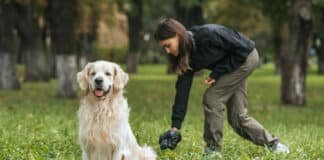 How to Efficiently Clean Up After Your Dog